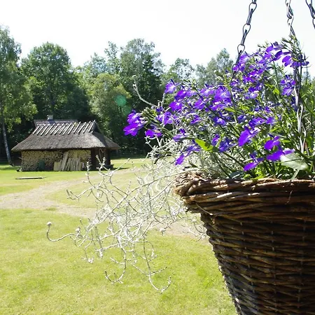 Casa vacanze Kase Center *